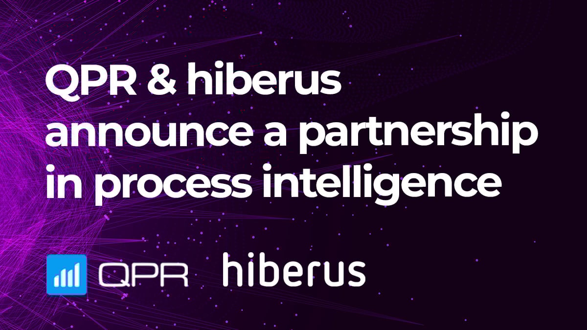 Hiberus-partnership